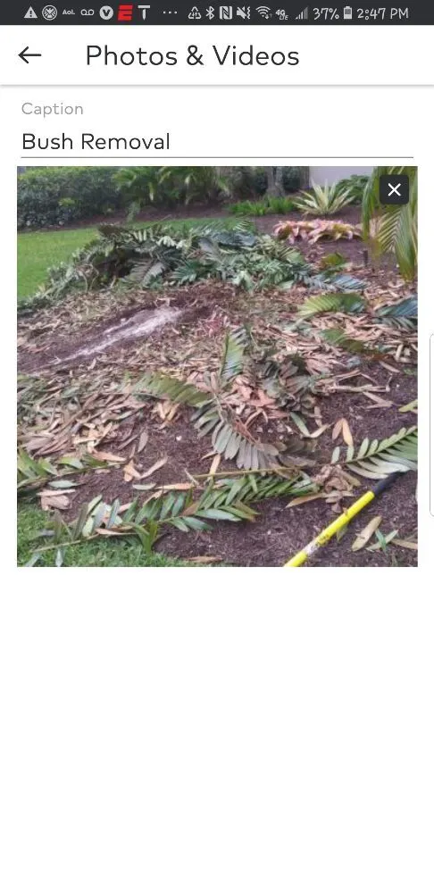 Top-rated outdoor landscaping in Margate, FL by Green Seasons Lawn & Landscaping