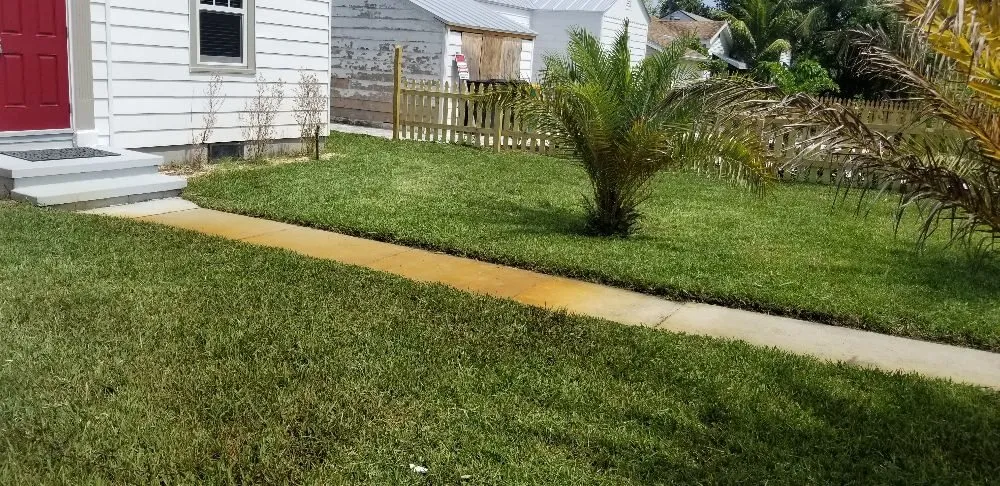 Top-rated yard cleanup service experts serving Margate, FL - Green Seasons Lawn & Landscaping