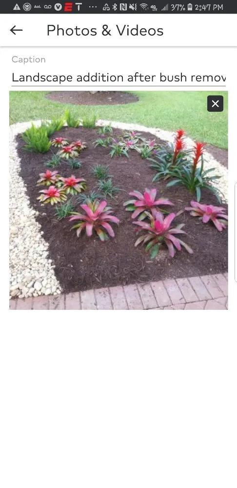 Top-rated landscape installation in Margate, FL by Green Seasons Lawn & Landscaping