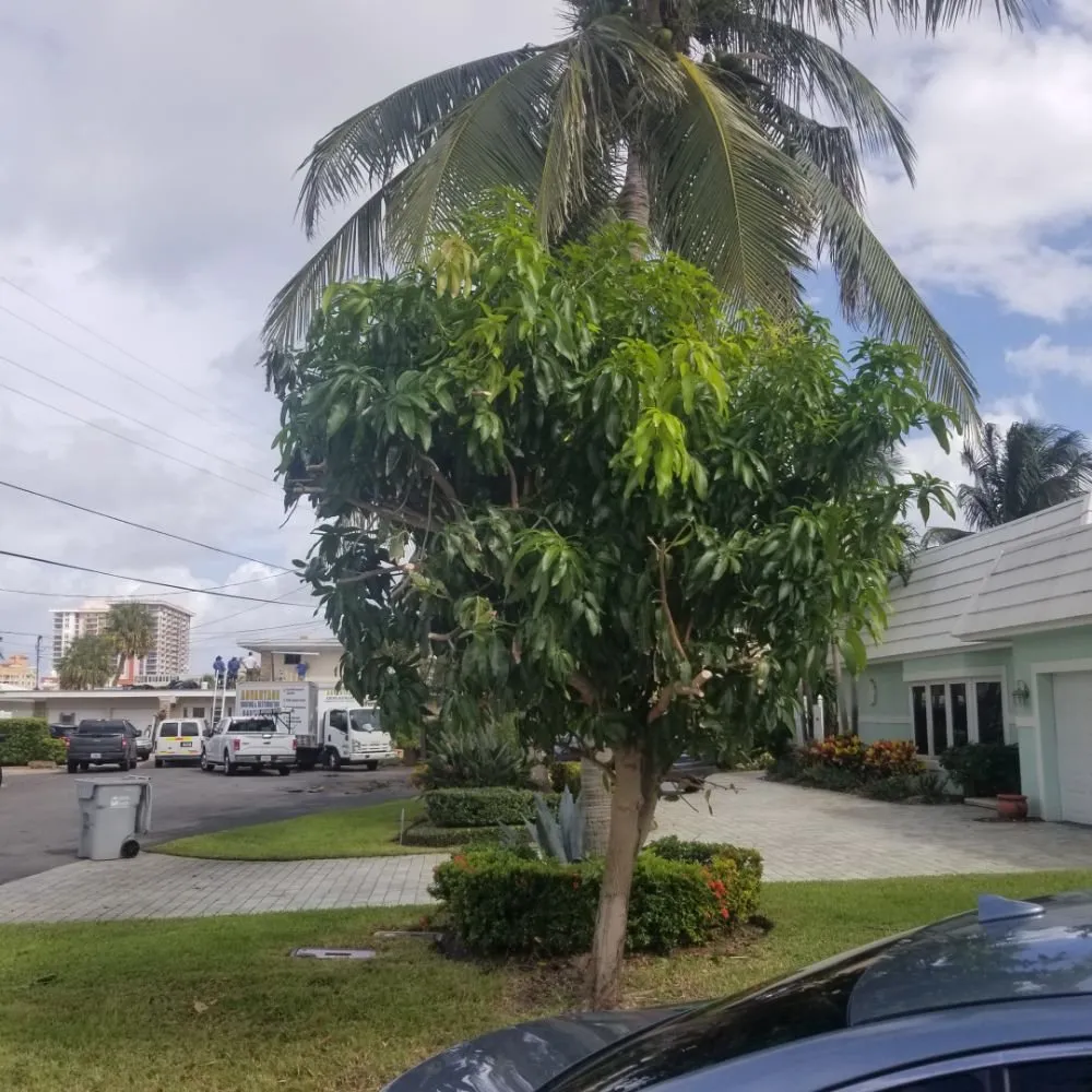 Local yard maintenance in Margate, FL - Green Seasons Lawn & Landscaping