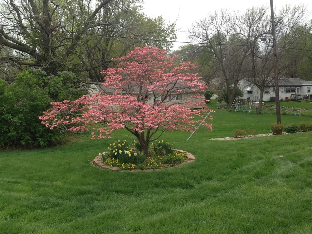Reliable residential landscaping for residential properties in Kearney, MO by Green Seasons Lawn & Tree Service