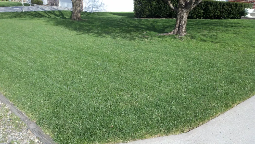 Local landscaping services experts serving Kearney, MO - Green Seasons Lawn & Tree Service