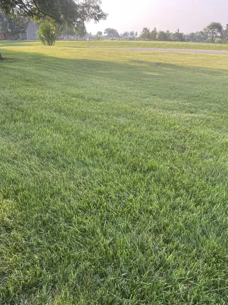 Top-rated landscape installation experts serving Kearney, MO - Green Seasons Lawn & Tree Service