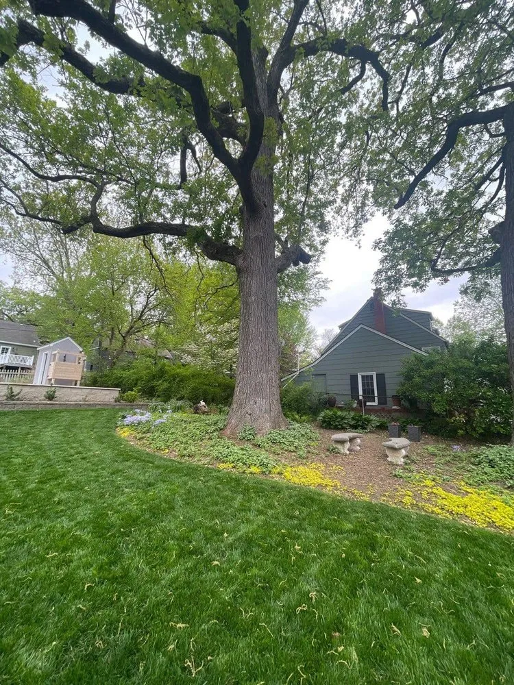 Professional landscaping services near you across Kearney, MO - Green Seasons Lawn & Tree Service