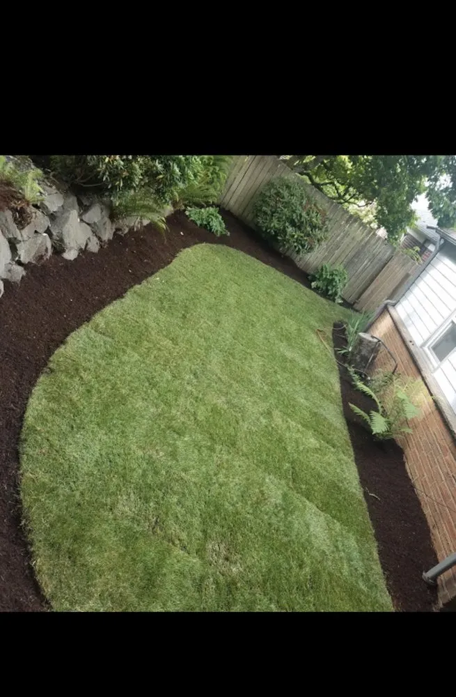 Custom yard maintenance in Seattle, WA - Green Seattle Landscaping