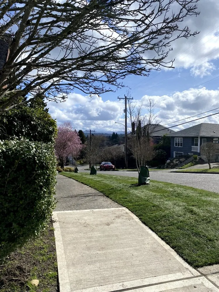 Top-rated lawn mowing service experts serving Seattle, WA - Green Seattle Landscaping