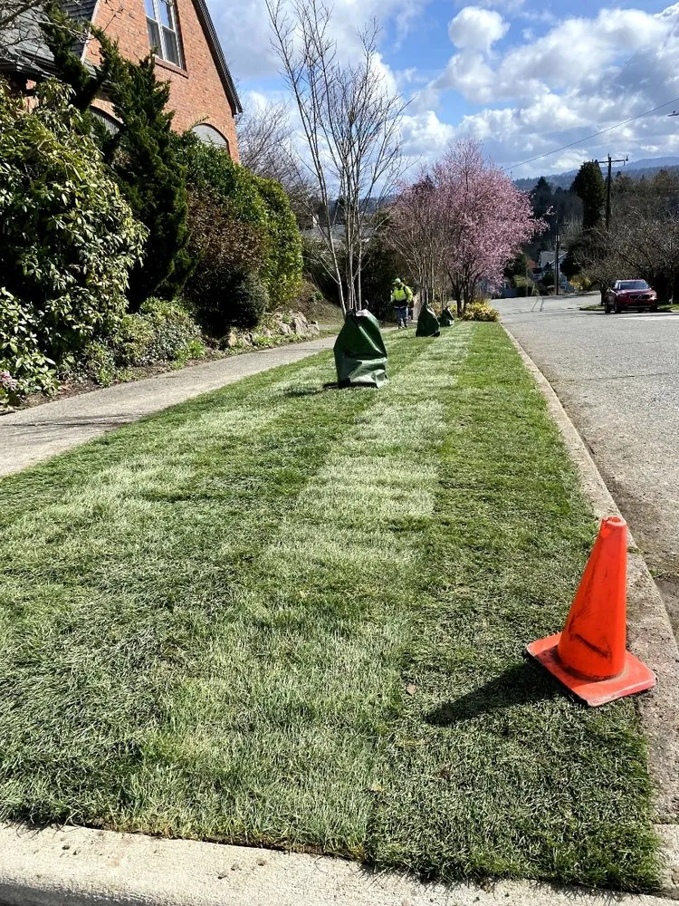 Professional residential landscaping for outdoor upgrades across Seattle, WA - Green Seattle Landscaping