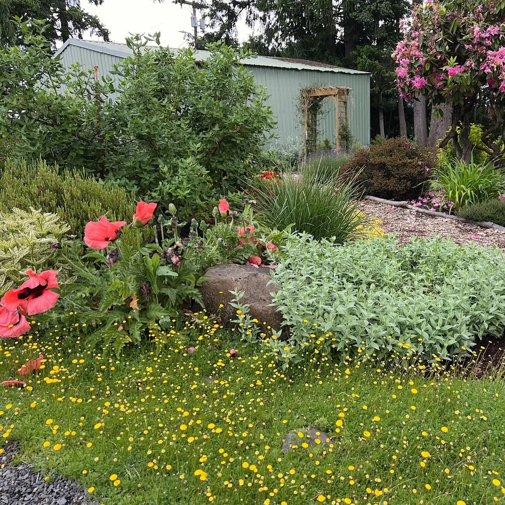 Local garden landscaping for homes in Canby, OR by Green Seed Gardens