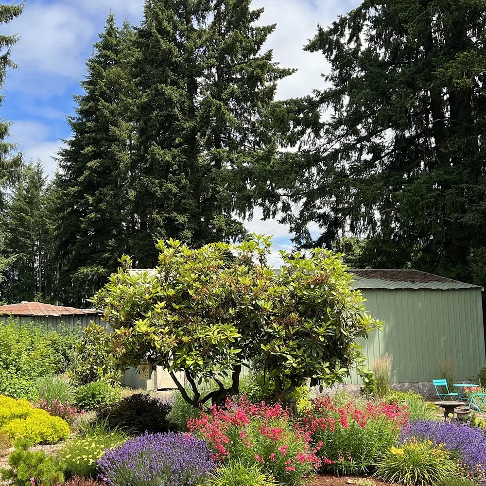Professional landscaping services in Canby, OR - Green Seed Gardens