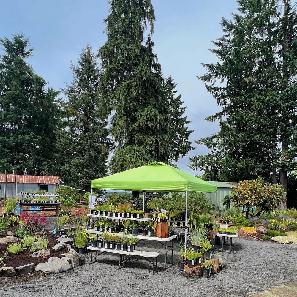 Reliable landscaping services experts serving Canby, OR - Green Seed Gardens