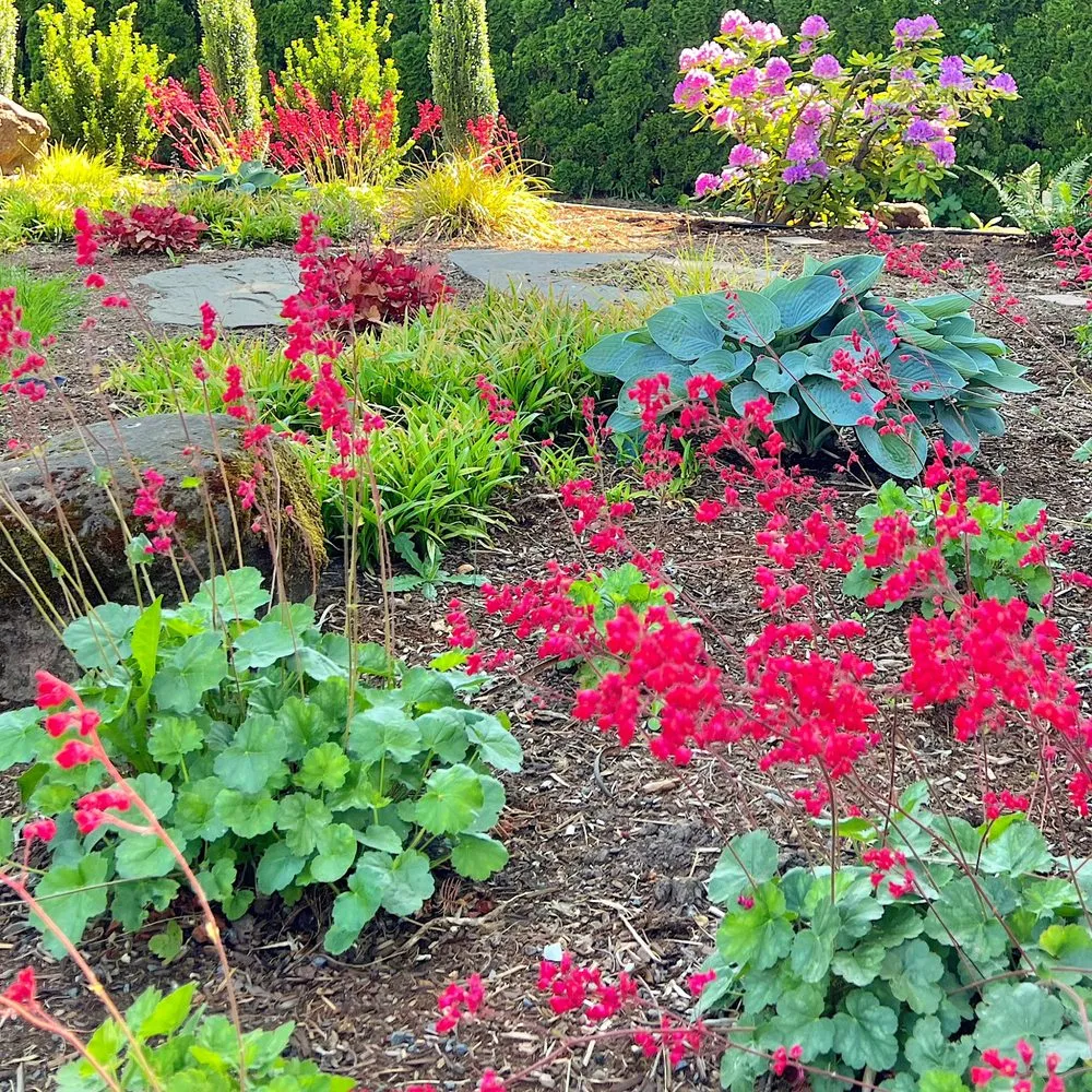 Trusted landscape installation with custom design in Canby, OR by Green Seed Gardens