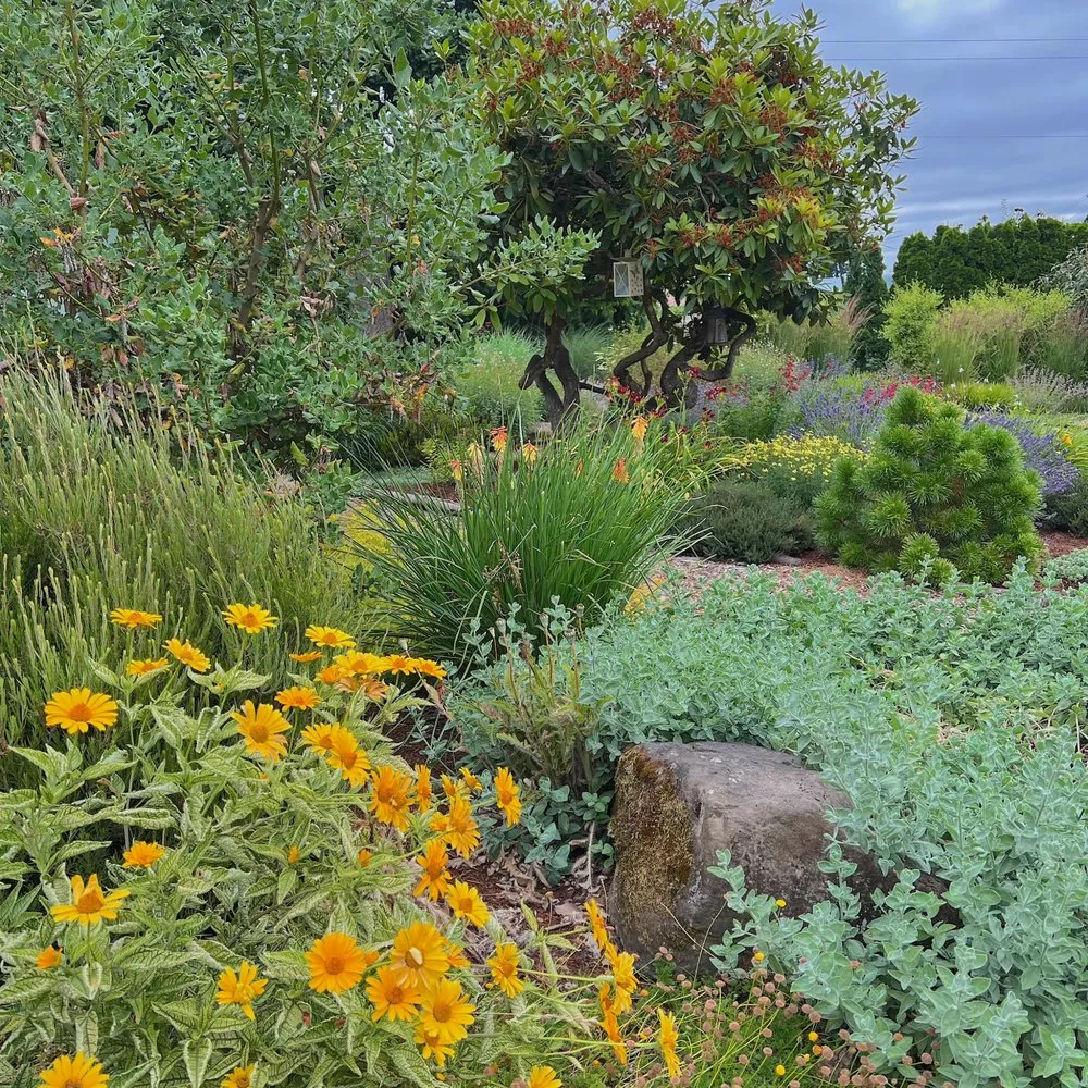 Expert outdoor landscaping for beautiful yards across Canby, OR - Green Seed Gardens