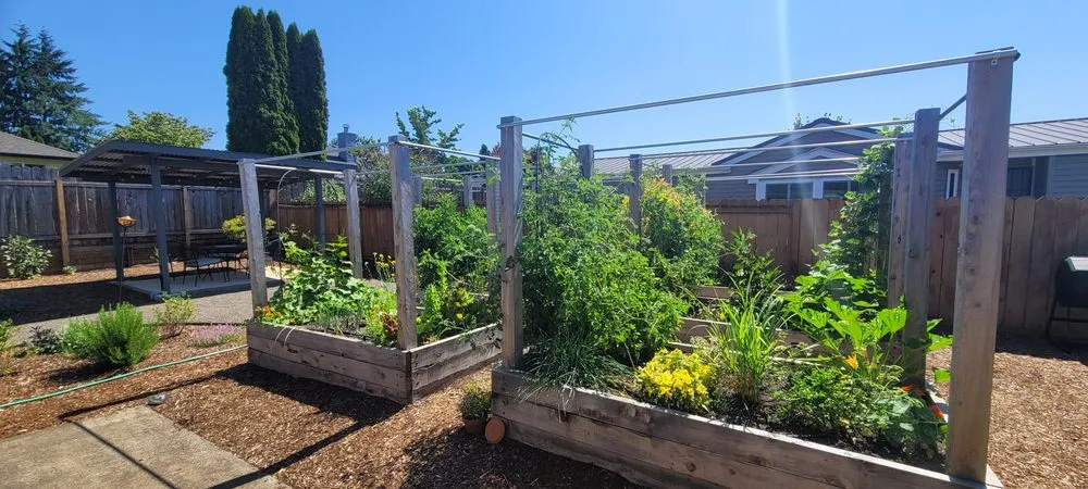 Custom lawn mowing service in Canby, OR - Green Seed Gardens