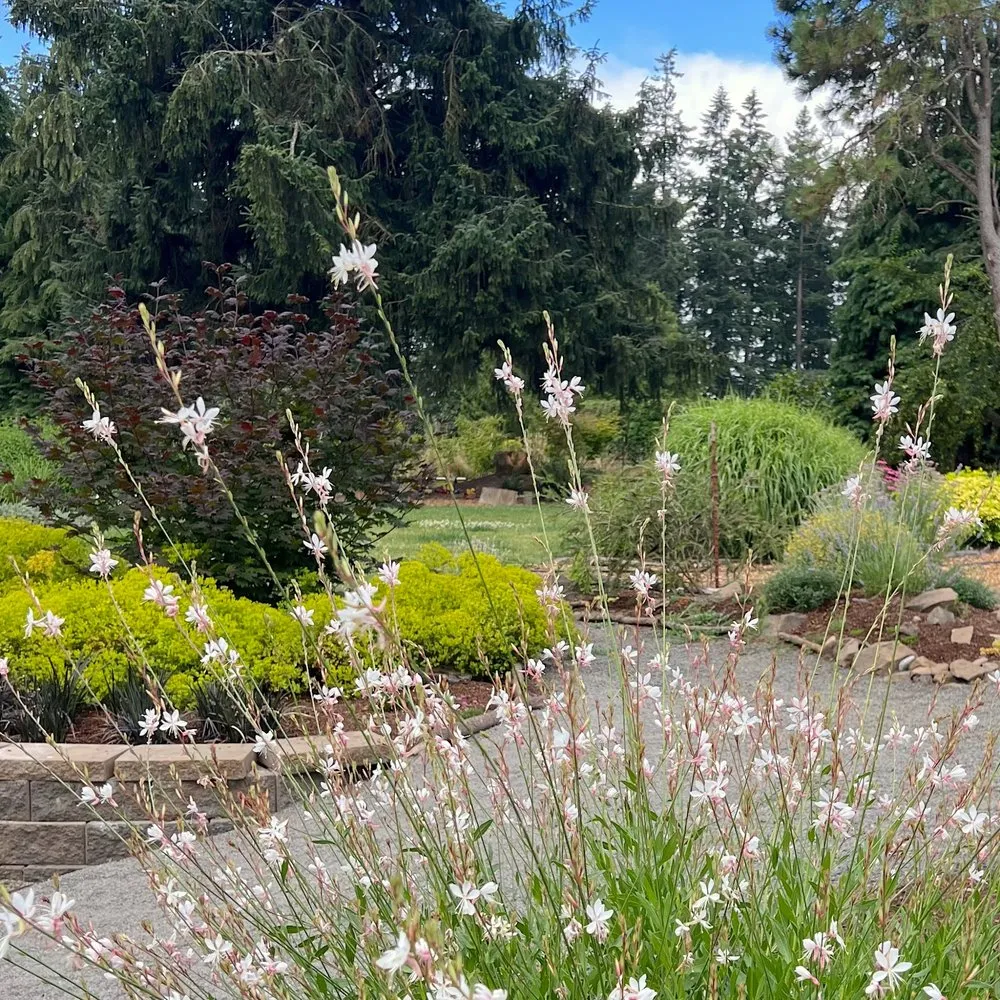 Local garden landscaping in Canby, OR - Green Seed Gardens