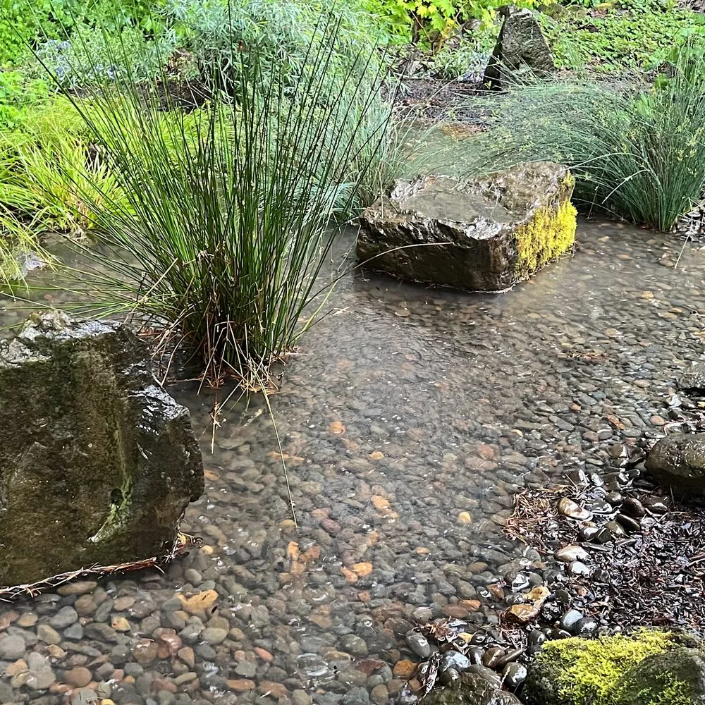 Trusted lawn care service in Canby, OR - Green Seed Gardens