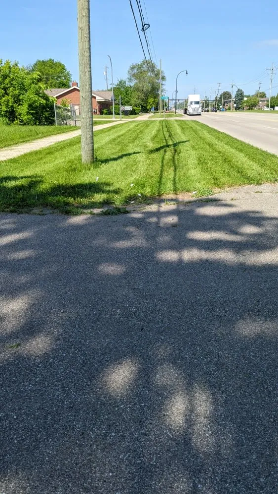 Custom landscape installation in Southgate, MI by Green Selections lawn and field specialist