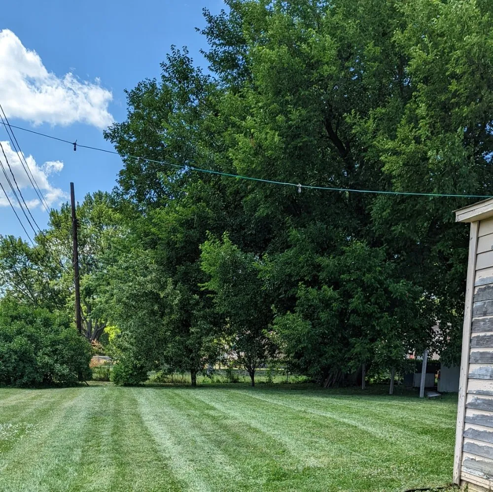 Professional landscape installation experts serving Southgate, MI - Green Selections lawn and field specialist