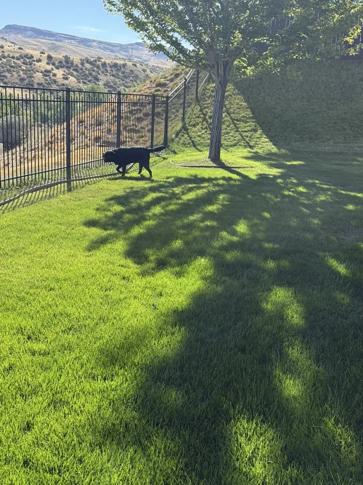 Trusted yard maintenance in Boise, ID - Green Services