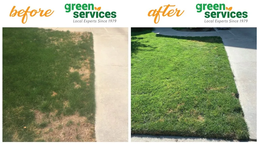 Affordable lawn care service for homes across Boise, ID - Green Services