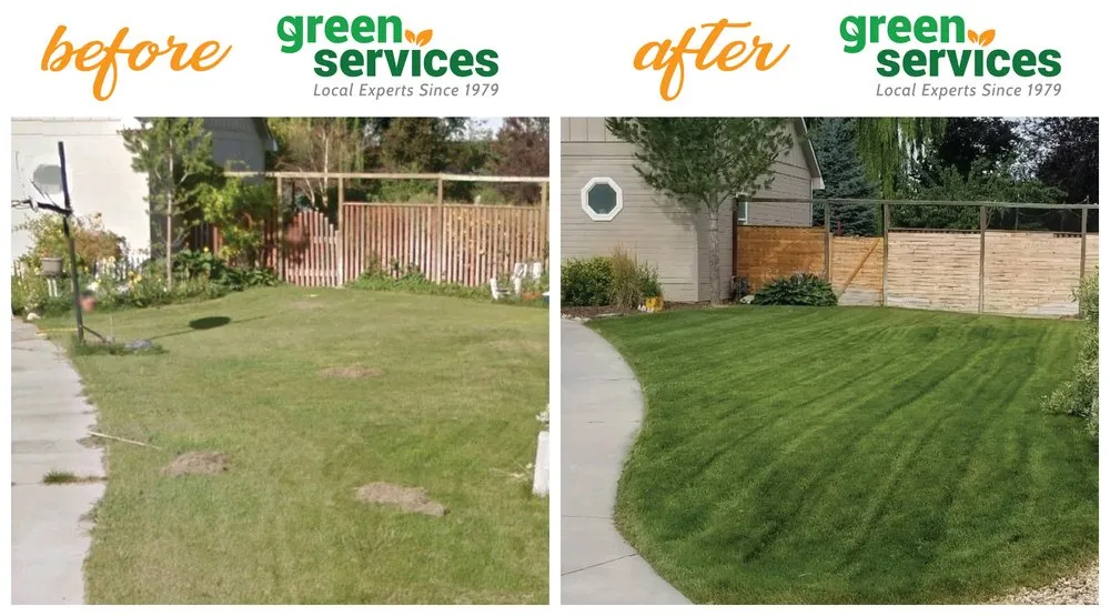 Affordable yard cleanup service in Boise, ID by Green Services