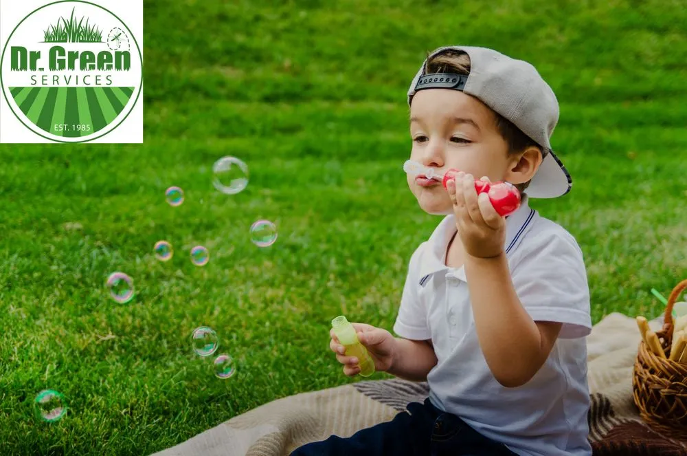 Top-rated lawn mowing service for residential properties across Carrollton, TX - Green Services