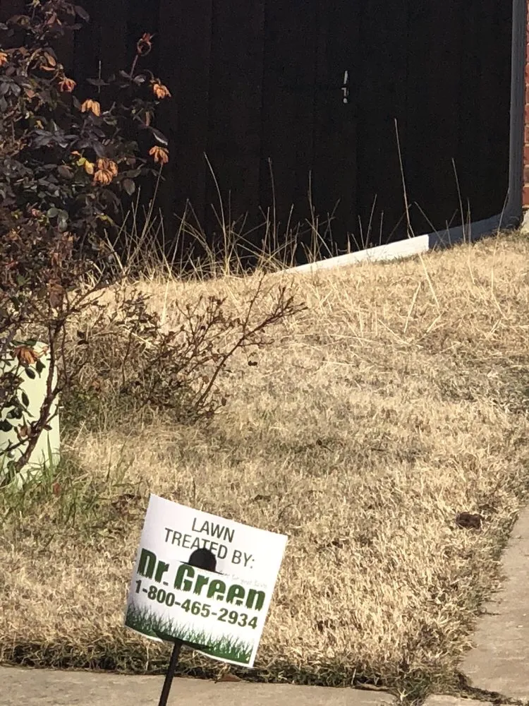 Trusted landscaping services with custom design across Carrollton, TX - Green Services