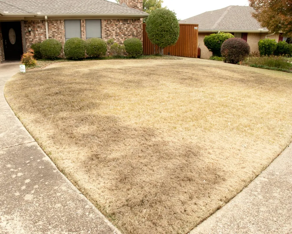 Expert outdoor landscaping in Carrollton, TX - Green Services