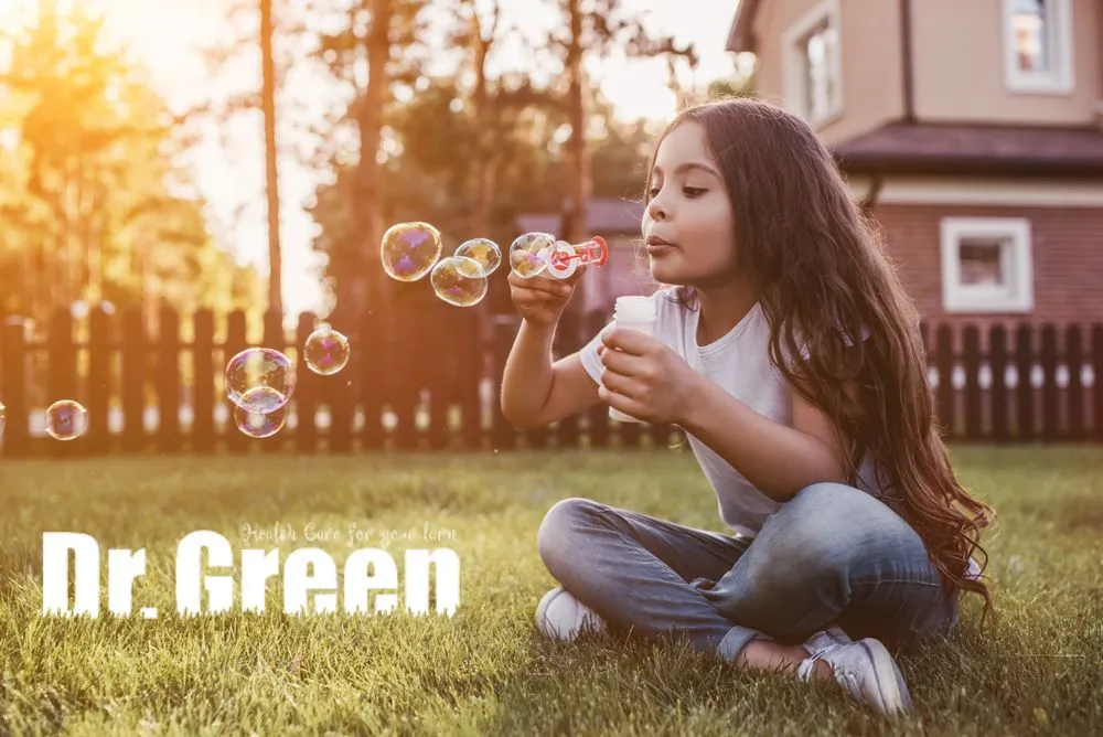 Affordable residential landscaping in Carrollton, TX by Green Services