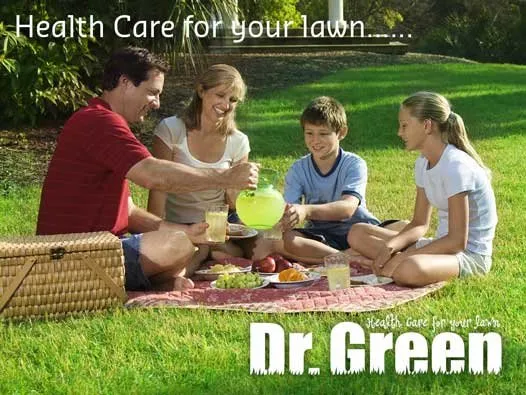 Custom yard maintenance in Carrollton, TX by Green Services