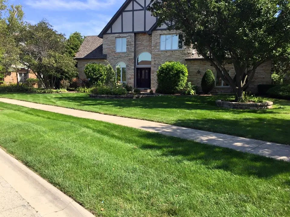 Trusted yard maintenance in Carrollton, TX - Green Services