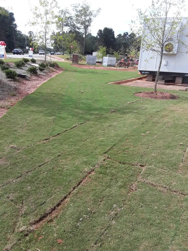 Professional landscape installation in Dawsonville, GA by Green Services