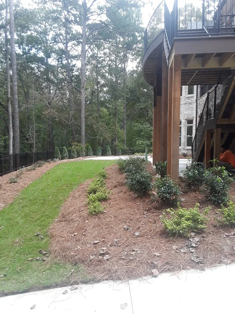Expert garden landscaping experts serving Dawsonville, GA - Green Services