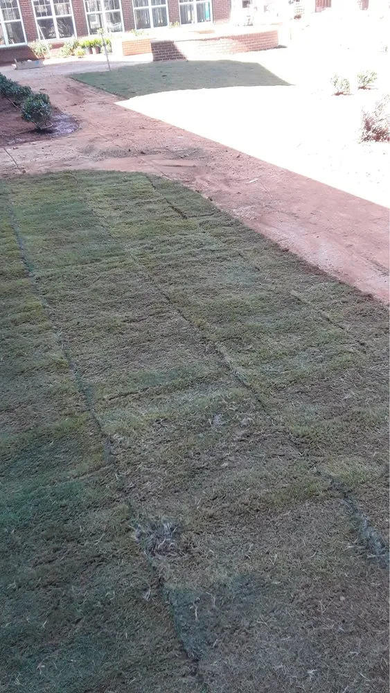 Expert garden landscaping for beautiful yards in Dawsonville, GA by Green Services