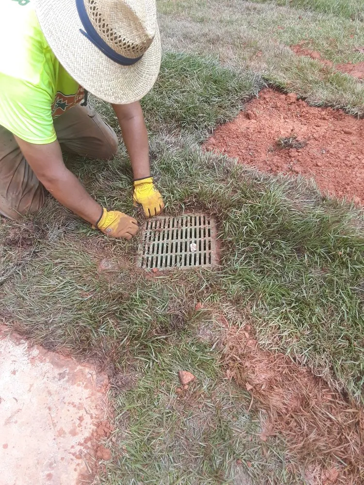 Reliable lawn care service experts serving Dawsonville, GA - Green Services