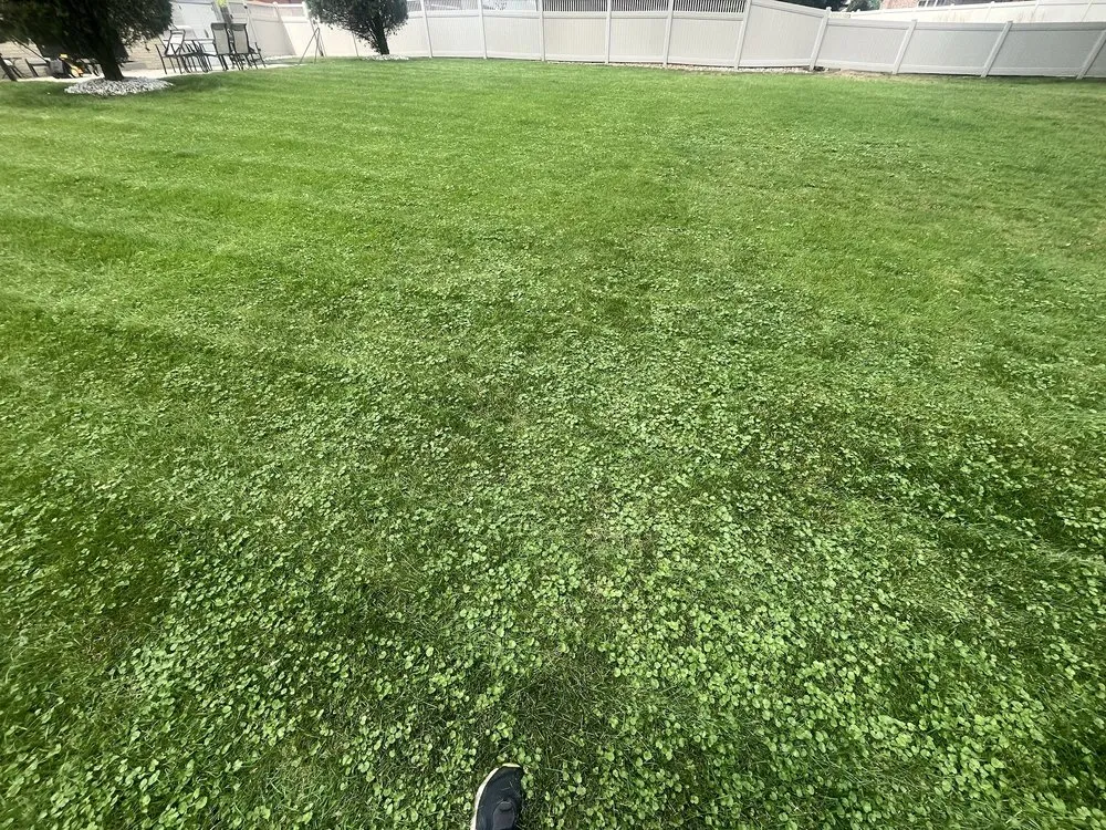 Trusted landscape installation in Joliet, IL - Green Services