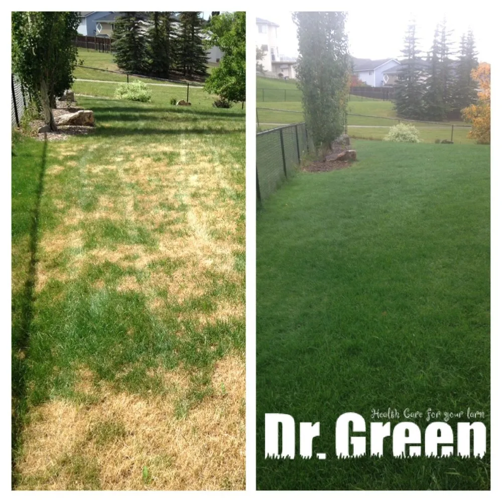 Local residential landscaping in Joliet, IL by Green Services