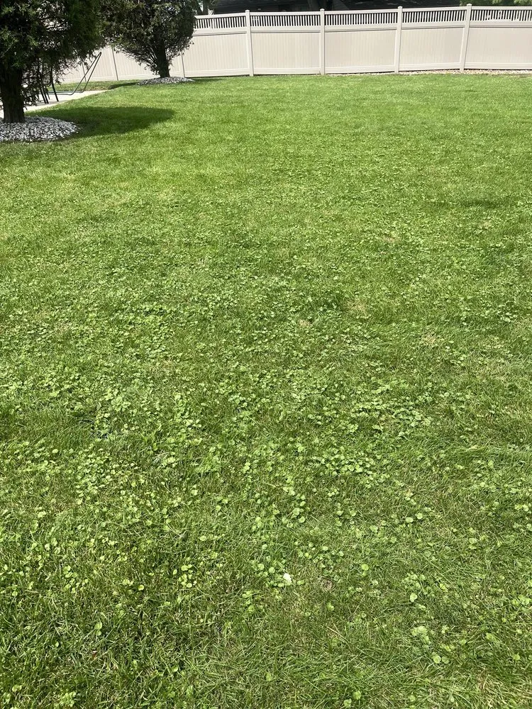 Reliable landscape design in Joliet, IL by Green Services