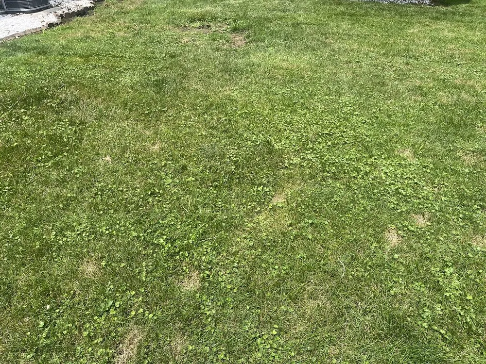 Local residential landscaping in Joliet, IL - Green Services