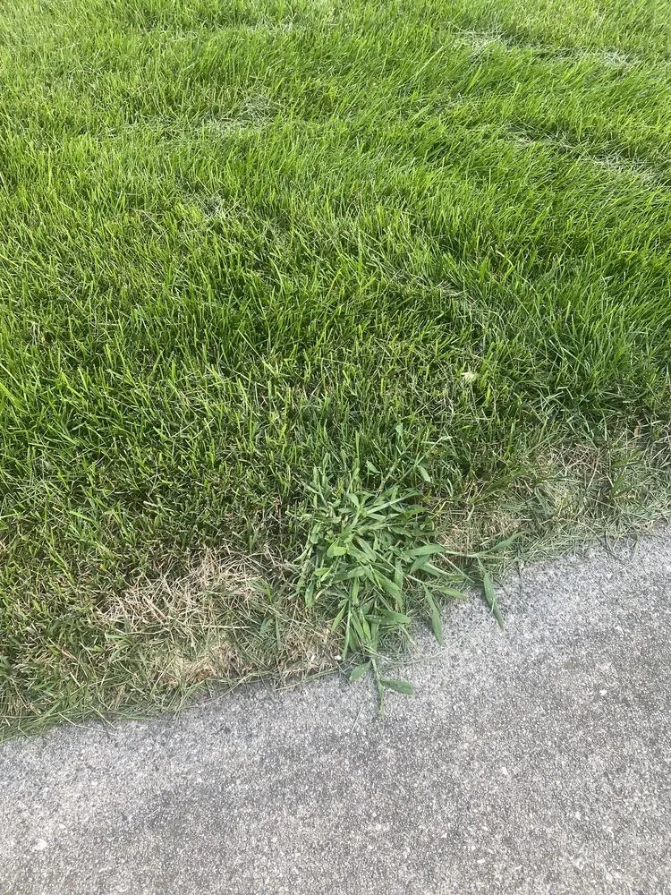 Reliable yard maintenance with custom design across Joliet, IL - Green Services