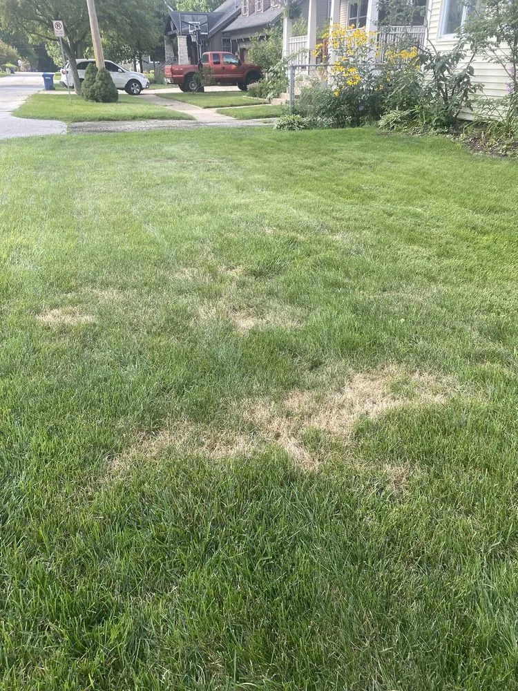 Reliable outdoor landscaping for year-round maintenance across Joliet, IL - Green Services