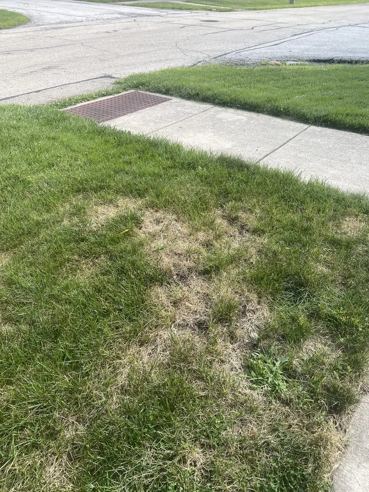 Custom landscape installation for beautiful yards in Joliet, IL by Green Services