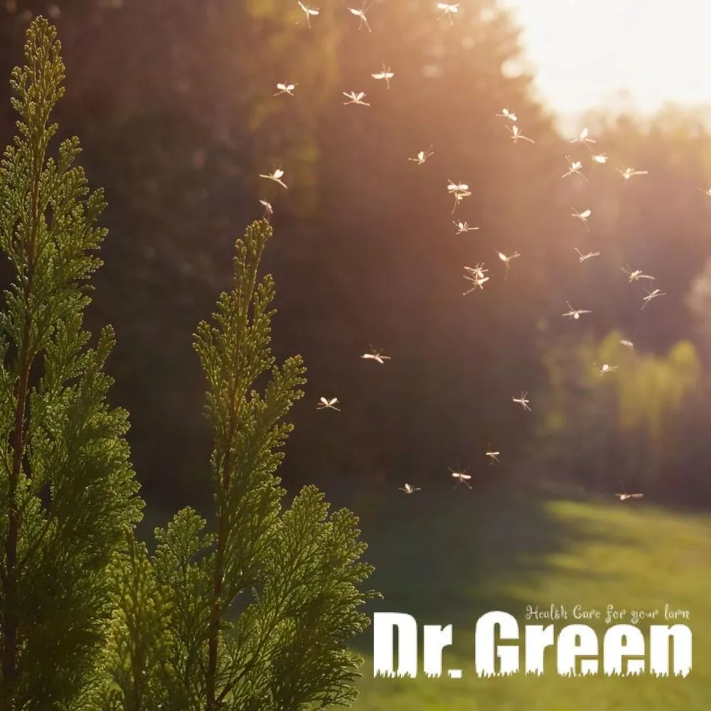 Affordable residential landscaping experts serving Joliet, IL - Green Services