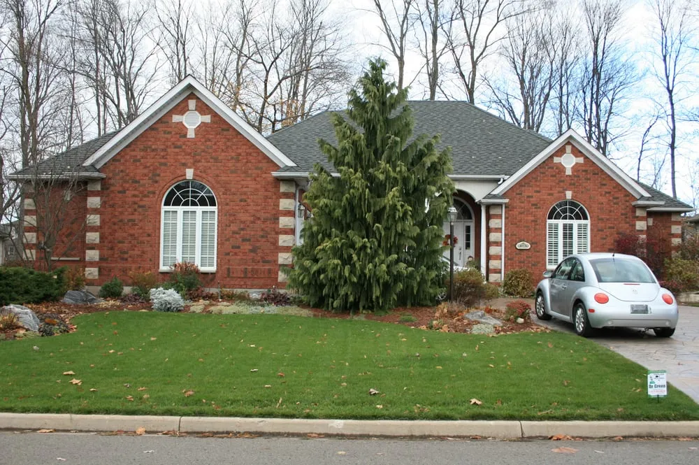 Top-rated yard maintenance near you in Joliet, IL by Green Services