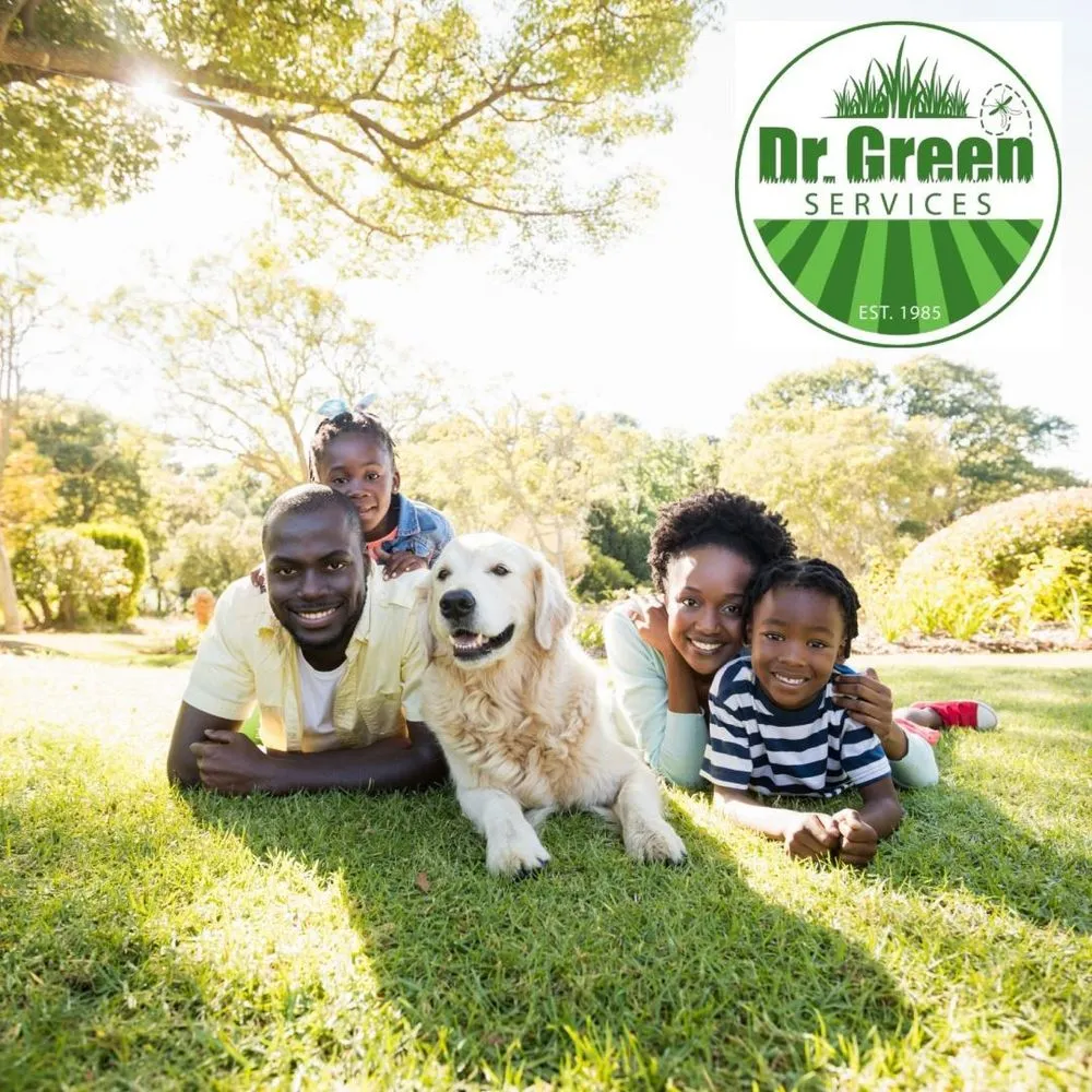 Local residential landscaping for residential properties in Joliet, IL by Green Services