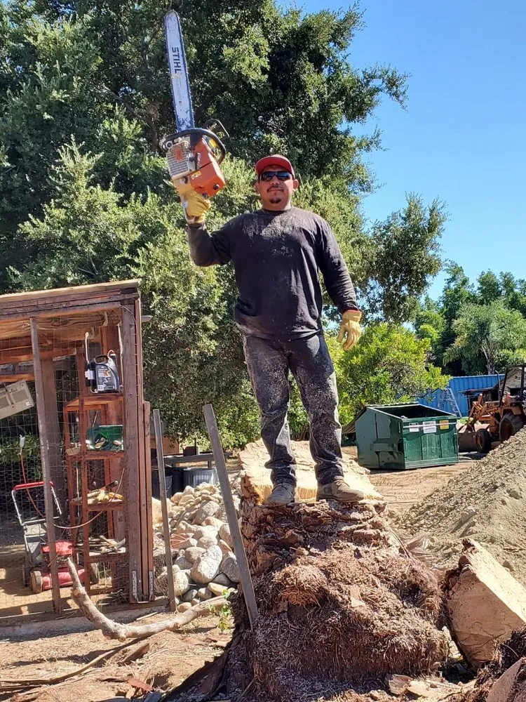 Affordable outdoor landscaping experts serving Arcadia, CA - Green Shadow