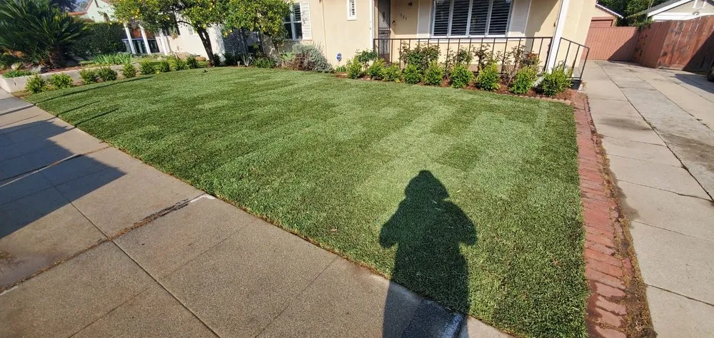Reliable yard cleanup service for beautiful yards in Arcadia, CA by Green Shadow