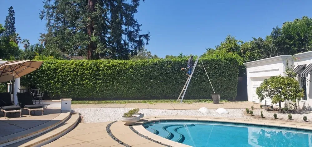 Top-rated yard cleanup service for beautiful yards in Arcadia, CA by Green Shadow