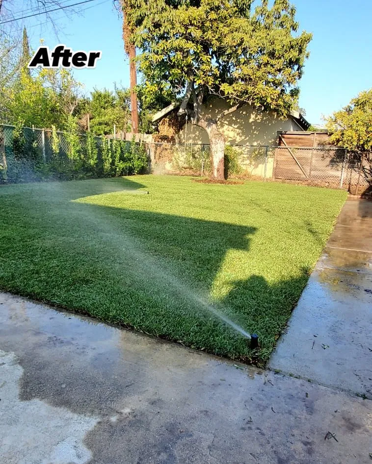 Expert landscape design in Arcadia, CA by Green Shadow