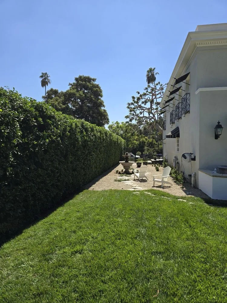Reliable yard maintenance in Arcadia, CA by Green Shadow