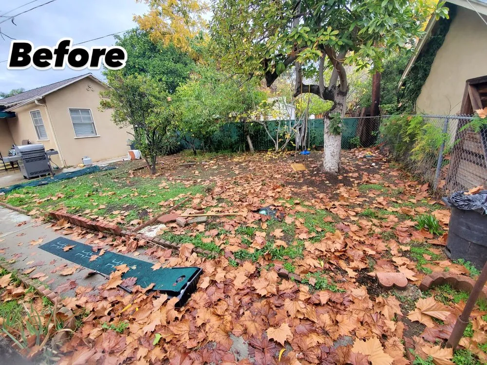 Top-rated lawn mowing service for residential properties in Arcadia, CA by Green Shadow